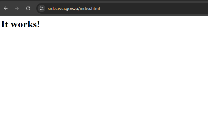 Screenshot of srd.sassa.gov.za showing a plain white page reading 'It works!' instead of the SRD portal